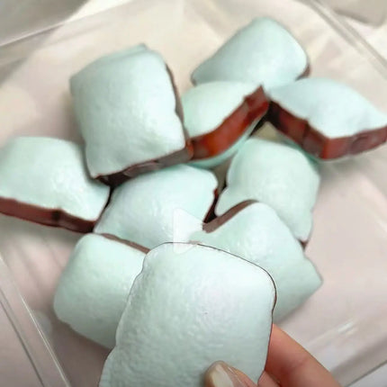 New Crunch Squishy Toast Slow Rise Squishy Squeeze Round Blocks Crunchy Filled ASMR Anti Stress Release Hand Relax Gift Toy