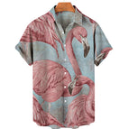 CS2024AQ8567 / 5XL