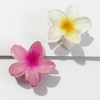 2pcs-6