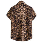 CS2024AQ2538 / 5XL
