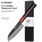 Santoku Knife 1