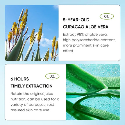 SADOER Aloe Vera Lip Balm- Lasting Moisturizing & Repairing Lip Care For Men And Women - Daily Care Lip Balm