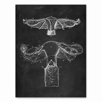 Human Anatomy Artwork Medical Clinic Wall Picture Skeleton Organ Muscle System Vintage Canvas Print Body Education Poster