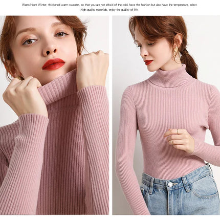 Heliar Women Fall Turtleneck Sweater Knitted Soft Pullovers Cashmere Jumpers Basic Soft Sweaters For Women 2024 Autumn Winter