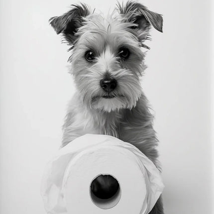 Black and White Cute Animal and Toilet Paper Poster Lion Owl Cat Dog Canvas Painting Wall Art Bathroom Living Room Home Decor