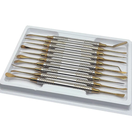 10 Pcs Dental Implant Periosteal Elevator Set for Periodontal and Maxillofacial Surgery Retracting Reflecting Tool Kit