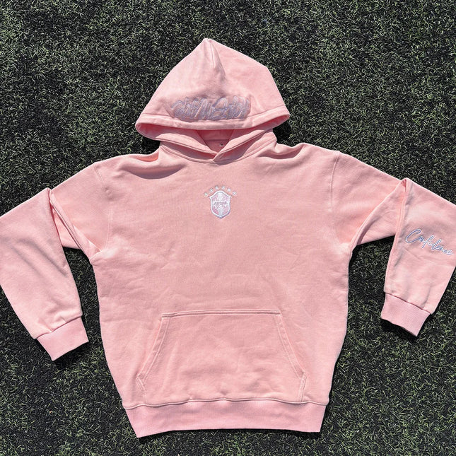 Vintage Letter Embroidered Pink Long Sleeved Pullover Y2K Fashion Personality American Street Autumn Winter Sports Loose Hoodies