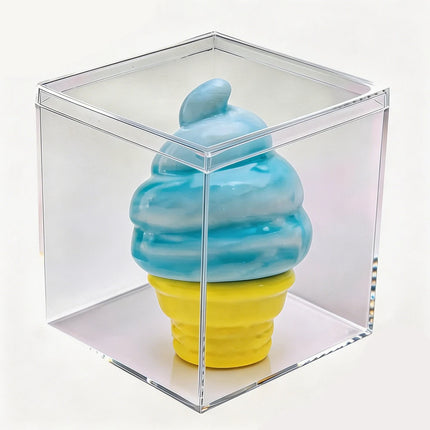 Transparent Acrylic Organizer Box for Nee Doh Squishy Toys, Dust & Moisture Proof Protective Case for Stress Relief Toys