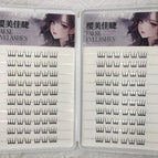 20 Rows 2