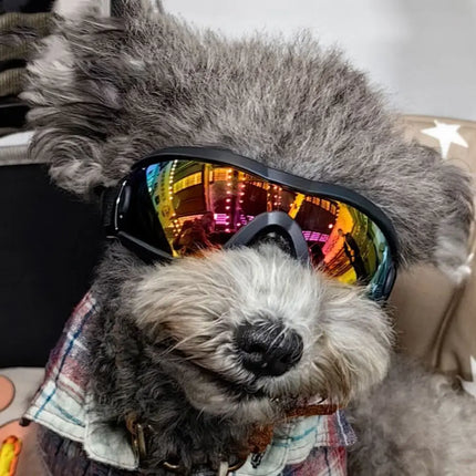 Dog Accessories Adjustable Strap Dog Goggles Windproof UV Resistant Dog Sunglasses Anti-Fog Waterproof Pet Glasses Sports