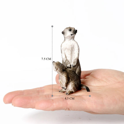 Realistic Forest Wild Animal Capybara Beaver Badger Wolverine Raccoon Meerkat Badger Model Figure Collector Toys for Kids