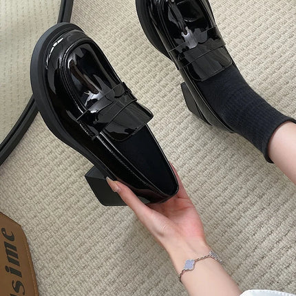 Bla Chunky Heel Mary Janes Women's oes Spring 2026 New High Heel Loers Retro Briti Sle Single oes Faionable Cas...