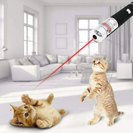2-in-1 Mini LED Pointer Flashlight Pet Training Torch Scratching Toys for Pets and Cats Christmas Birthday Gifts No Battery