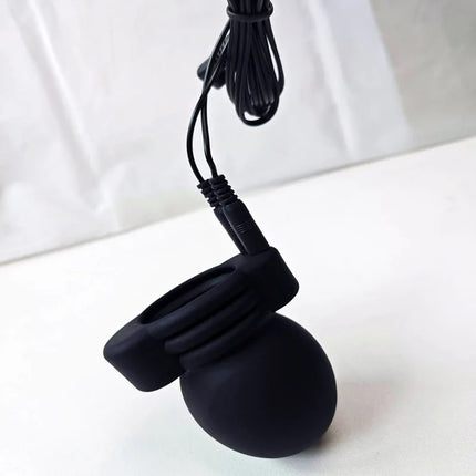 SM Strong Electric Shock Host,Electro Shock Penis Ring,Electric Stimulate Therapy Massager Glans Ring Cock Cage,Sex Toys For Men