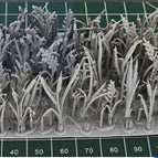 Reed grass