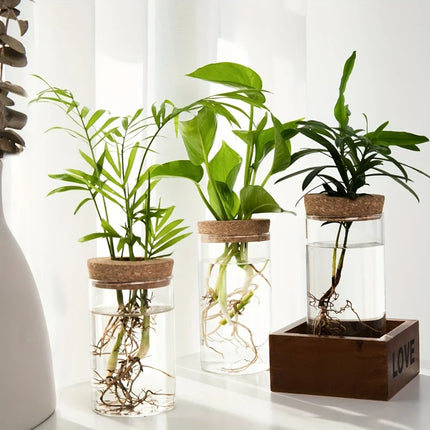 1-2PCSDesktop Hydroponic Glass Vase Home Decorative Plant Cultivation Bottle Office Green Plant Rooting Container