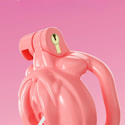 Breathable Resin Male Chastity Cage Anti Removal Anti Cheating 4 Size Rings Abstinence Lock Bondage Toys for Men