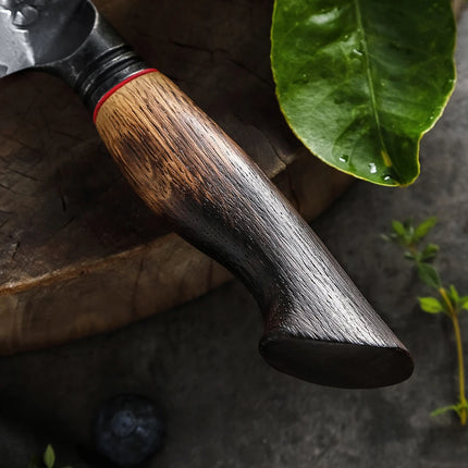 XINZUO 5.5-inch Utility Knife Long-lasting High-quality a Worthy Addition to Your Kitchen Invest in Durability Pro Knife