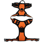 Orange / XL