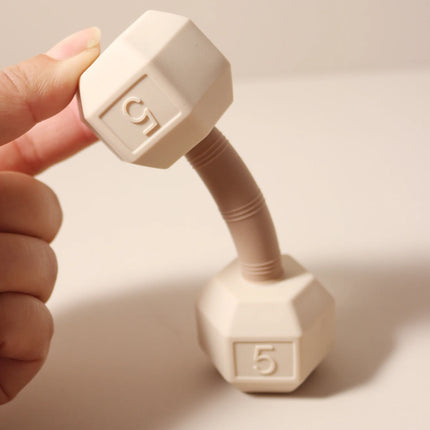 Baby Teething Toy Rattle Dumbell Infant 5kg Teether Chewing Silicone 0-2 Years
