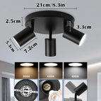 Type D 21CM Black / Warm white