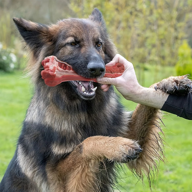 Silicone dog bite toy, non-toxic natural rubber, suitable for strong biting dogs, interactive teeth cleaning bones,