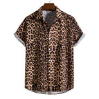 CS2024AQ2537 / 5XL