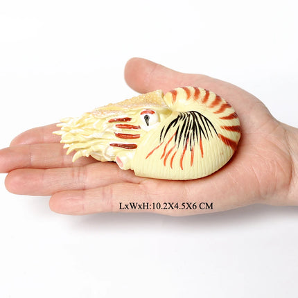 Simulation Marine Mollusc Plastic Model Figures Nautilus Ammonite Squid Octopus Figurine Sealife Animal Educational Toy For Kids