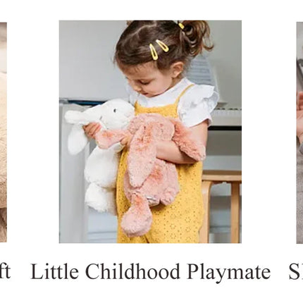 Personalized Cute Plush Bunny Super Soft Custom Stuffed Animal with Embroidered Name on Ear Ideal for Birthday Kid Children Gift