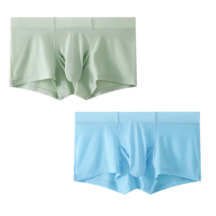 2pcs Solid Color Boxer Shorts Men Seamless Nylon Ice Silk Underwear U Pouch Male Panties Plus Size M-XXL