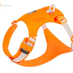 Orange / XL / China Mainland