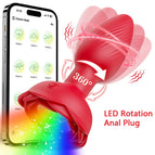AP91-APP-RD