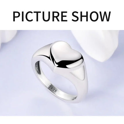 Shine Zircon Ring 925 Silver Original Stone Multi Layer Simple Infinitely Wide Rings For Women FineJewelry Wedding Party Gift