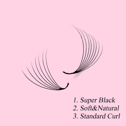 ABONNIE 500 Fans Loose Wide Fan Eyelash Extensions 6D to 20D Pointy Base Premade Volume Fans Sharp Stem Professional Lashes
