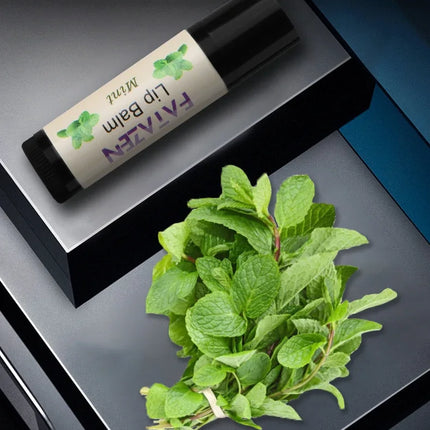 Organic Honey Lip Balm Mint Flavor Eco Friendly Chapstick Shea Butter Lip Balm For Men