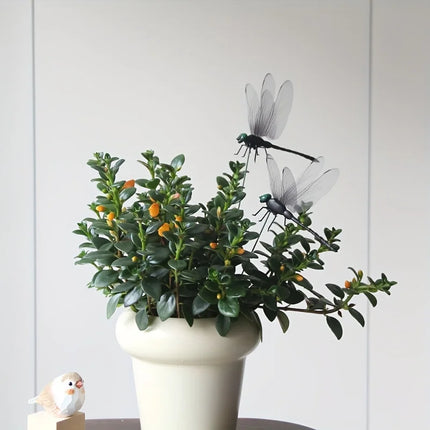 Dragonfly Insert Card4-12pcsOutdoor Garden Lawn Decoration Statue Sculpture with Stake for Halloween and Thanksgiving