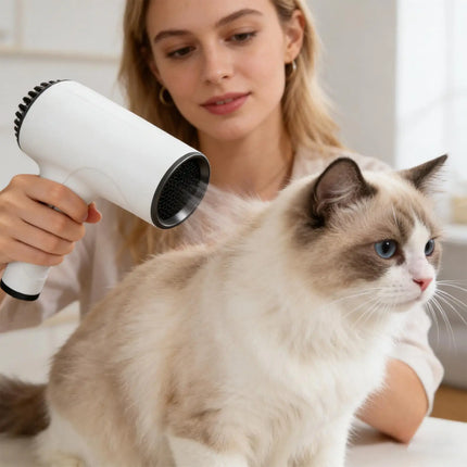 Cordless Portable Hair Dryer 500W, 2 Speed Hot & Cold Wind Blower, Low Noise Rechargeable for Travel, Home, Dorm & Women Men