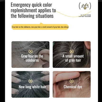 YP1205 Instant Black Covera Waterproof and Sweatproof Hair Dye Stick Disposable White Hair Coloring Comb  Hairline Root Conceale