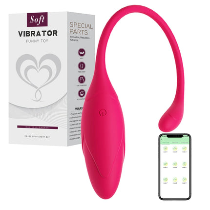 10 Speeds G-spot Vibrators for Women Vibrating Egg Kegel Exercise Vaginal Ball Remote Control Bullet Vibrator Sex Toys for Women