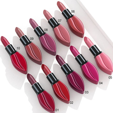 5pcs Matte Lipstick Makeup Set Super Smooth Texture Long Lasting Lipstick Kit High Pigment Sexy Lip Stick with Perfect Gift Box