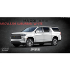 MSCVL1201