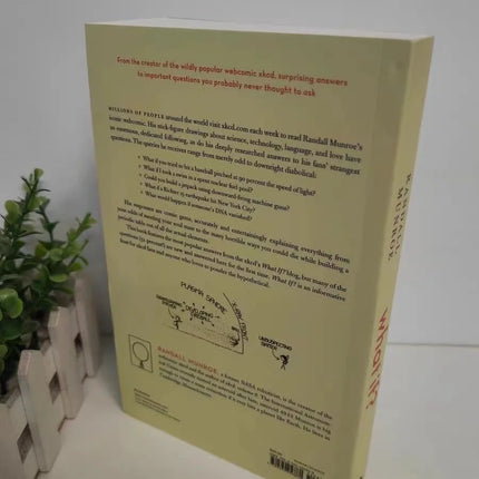What if those strange and worrying questions in English Book