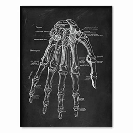 Human Anatomy Artwork Medical Clinic Wall Picture Skeleton Organ Muscle System Vintage Canvas Print Body Education Poster
