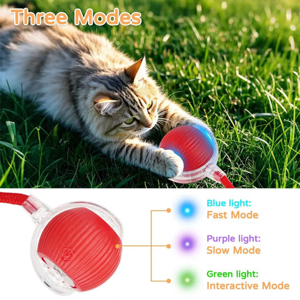 Cat Interactive Ball Toy Automatic Rolling Ball Faux Tail Rechargeable Smart Pet Electric Toy Dog Cat Training Imitate Mouse