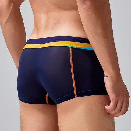 SEOBEAN Men's Sheer Boxer Briefs Nylon Low-Rise Underwear Lightweight Breathable Fashion Stylish Thin See-Through 230215 412114