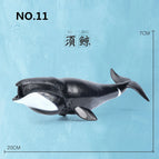 Baleen whales