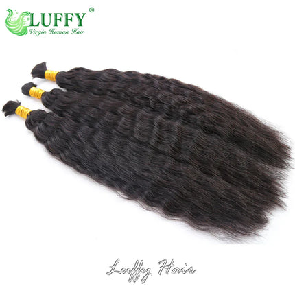 Wet And Wavy Bulk Human Hair For Braiding No Weft Brazilian Human Hair Double Drawn Braids Hair Bundles Extensions 10-30Inch