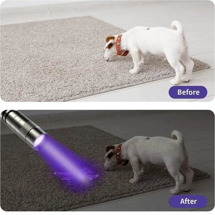 395nm UV Pen FLaslight,Blacklight Flashlight w/ Clip Portable Detector for Hotel/Pet Urine/Bed Bugs/Camping(AAA Battery Powered)