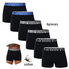 6pc--W11-1 / XXL