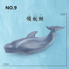 pilot whale